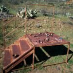 digital tools for enhancement