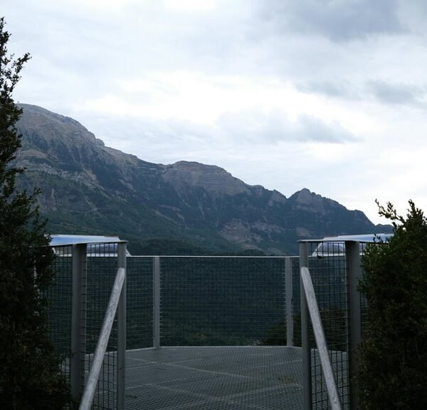 elevate your online services