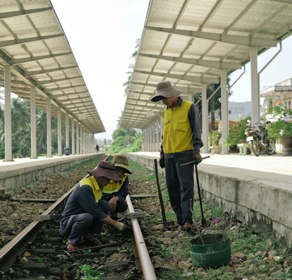 elevate your online services