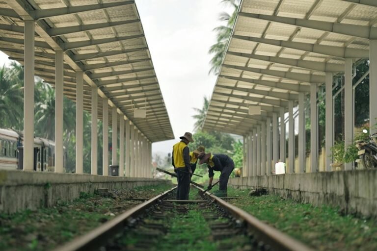 maximize online service platform