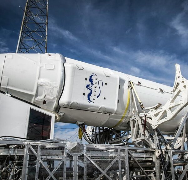 online service development platform