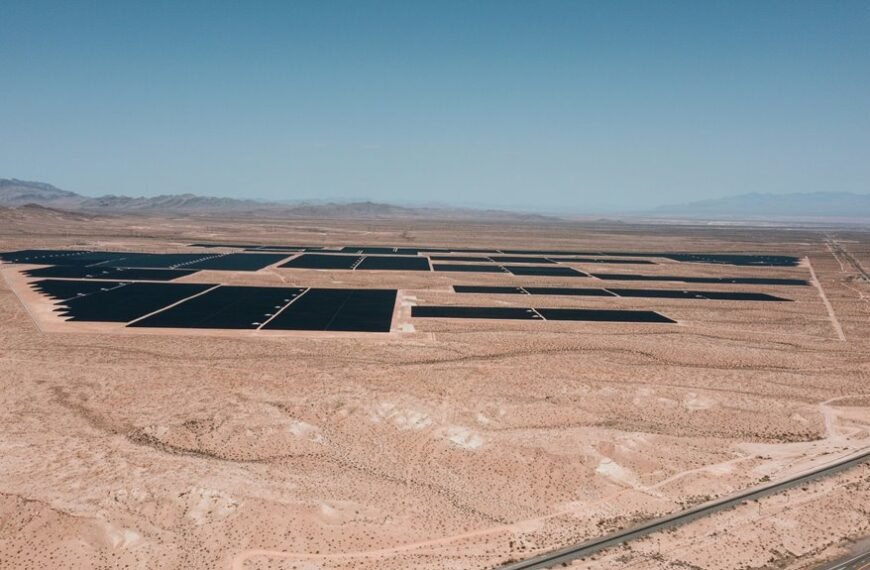 digital expansion strategy 123510380