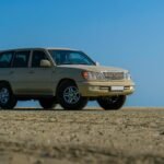 reliable stability model online